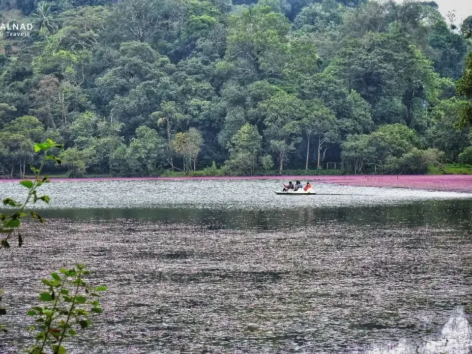 wayanad tourist pookot lake