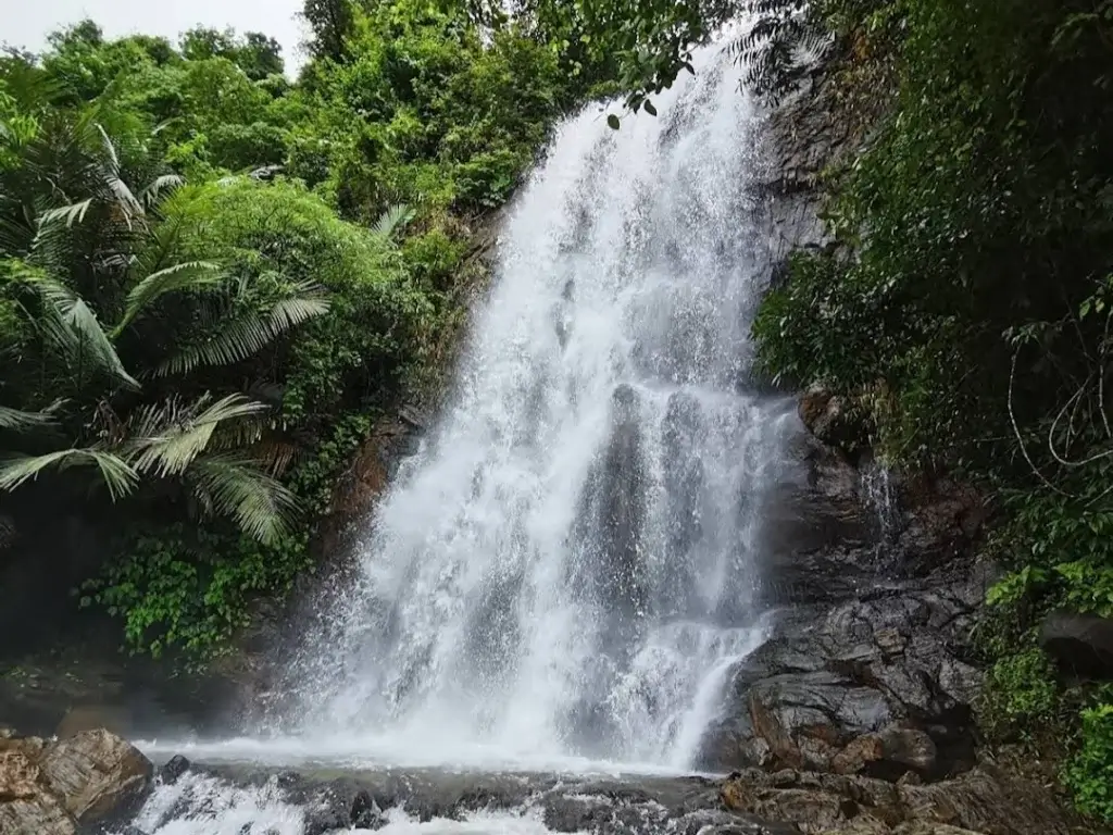 Kappimala Waterfalls Hidden Place In Kannur Alakode Kannur