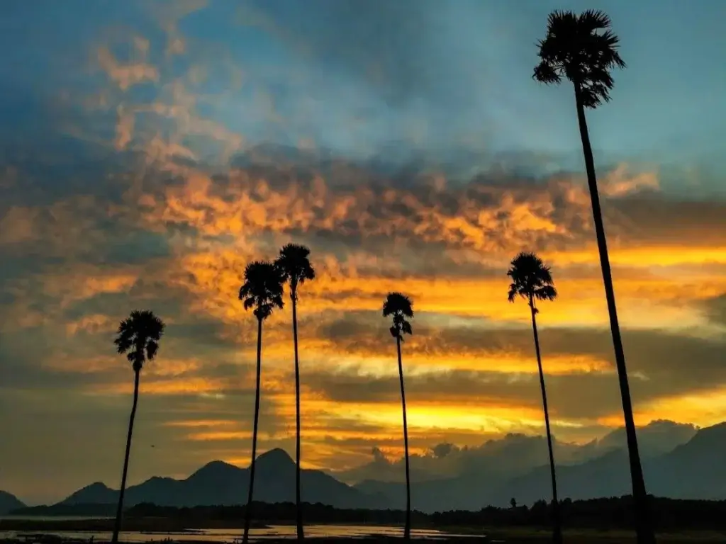 kadamkode palakkad tourist places