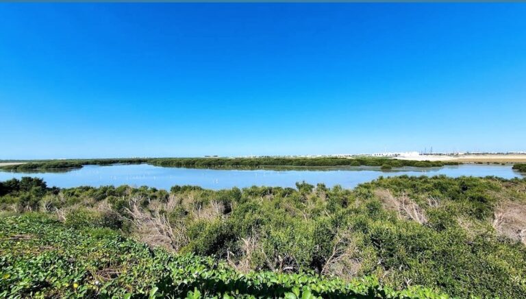 Al Zorah Natural Reserve uae